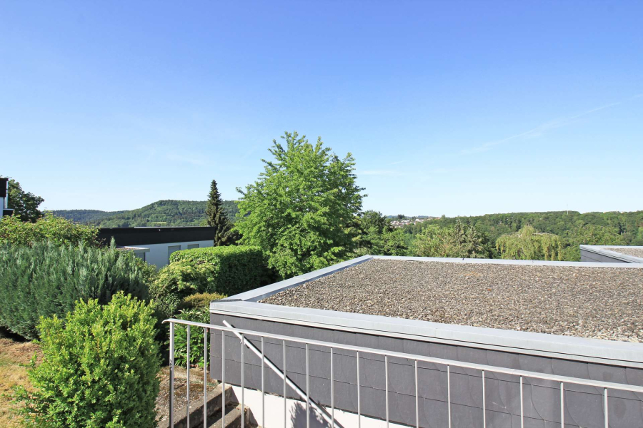 Ausblick
