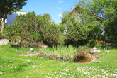 Idyllischer Gartenteich